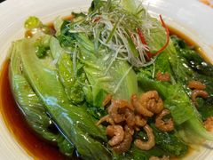 -三强鸽子(中原路店)