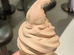 杨枝甘露风味圆筒-麦当劳(红旗路店)