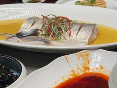-天福苑(崇宁路店)