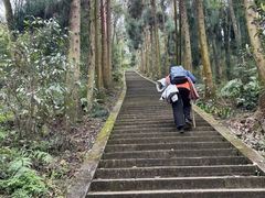 -峨眉山报国寺