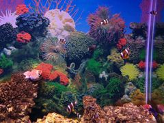 -泉州海丝野生动物世界