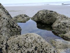 -摩拉基大圆石