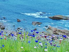 -燕儿岛山公园