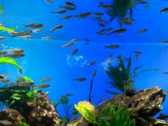 -太平洋海底世界