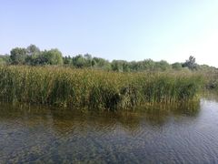 -溱湖国家湿地公园