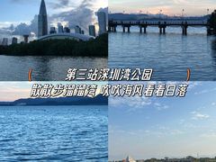 -深圳湾公园(南山区)