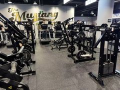 -TMG潮流健身(奥体莲荷里店)