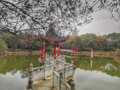 -青龙山国家森林公园