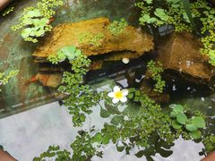 -肴约·花园式餐厅(湖里店)
