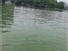 -朝阳公园游乐园