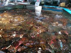 -盒马鲜生(杭州运河上街店)