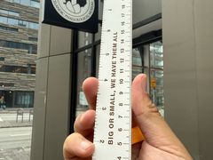 -冰岛阴茎博物馆