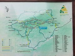 -大围山国家森林公园