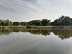 -永定河休闲森林公园