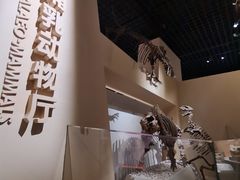 -国家自然博物馆