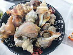 -小海丁