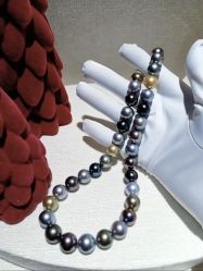 -GiO挚澳珠宝(侨福芳草地店)