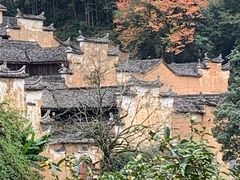 -杨家堂村