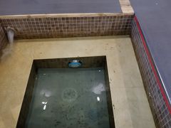 -中家鑫园温泉酒店鑫悦汤泉