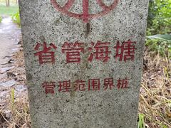 -观潮胜地公园