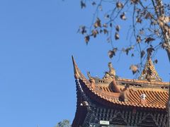 -成都动物园