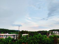 -铁山坪森林公园