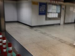 -桃浦新村(地铁站)