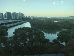 -三垟湿地