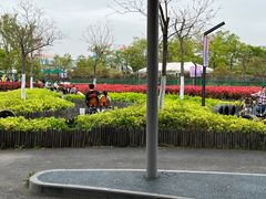 -季高兔窝窝亲子园(上海薰衣草公园店)
