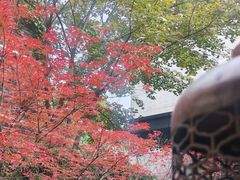 -湖滨客舍·湖北菜