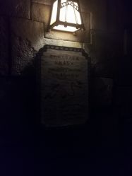 -翱翔飞越地平线