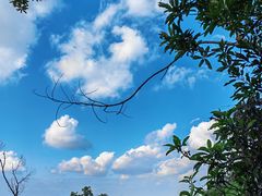 -阳台山森林公园