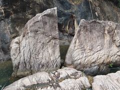 -广州白江湖森林公园