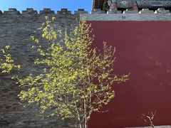 -东华门大街小区