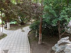 -莲湖公园