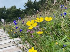 -白草畔自然风景区