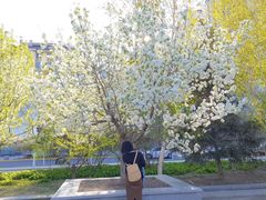 -黑龙江大学