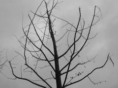 -国家会展中心-P3停车场