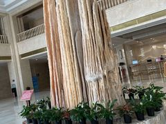 -兴芮温泉度假区