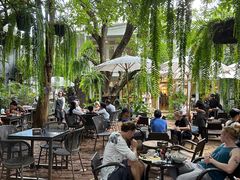 -Fern Forest Cafe