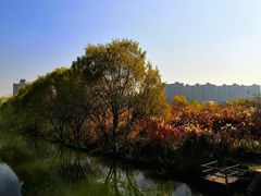 -新江湾城公园