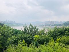 -金海湾滨江公园