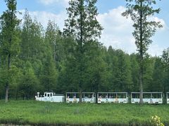 -黄海国家森林公园