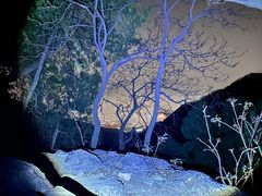 -泰山风景名胜区