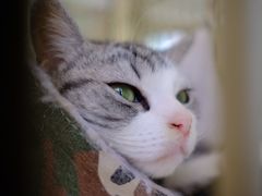 -情忆草原涮肉馆