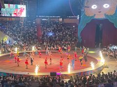 -俄罗斯国家大马戏团