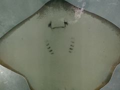 -苏州海洋馆
