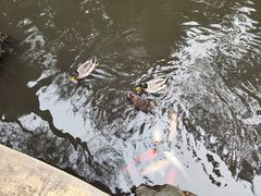 -广州兰圃
