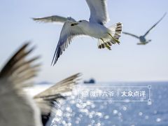-海驴岛(荣成市)