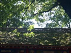 -少华山国家森林公园
